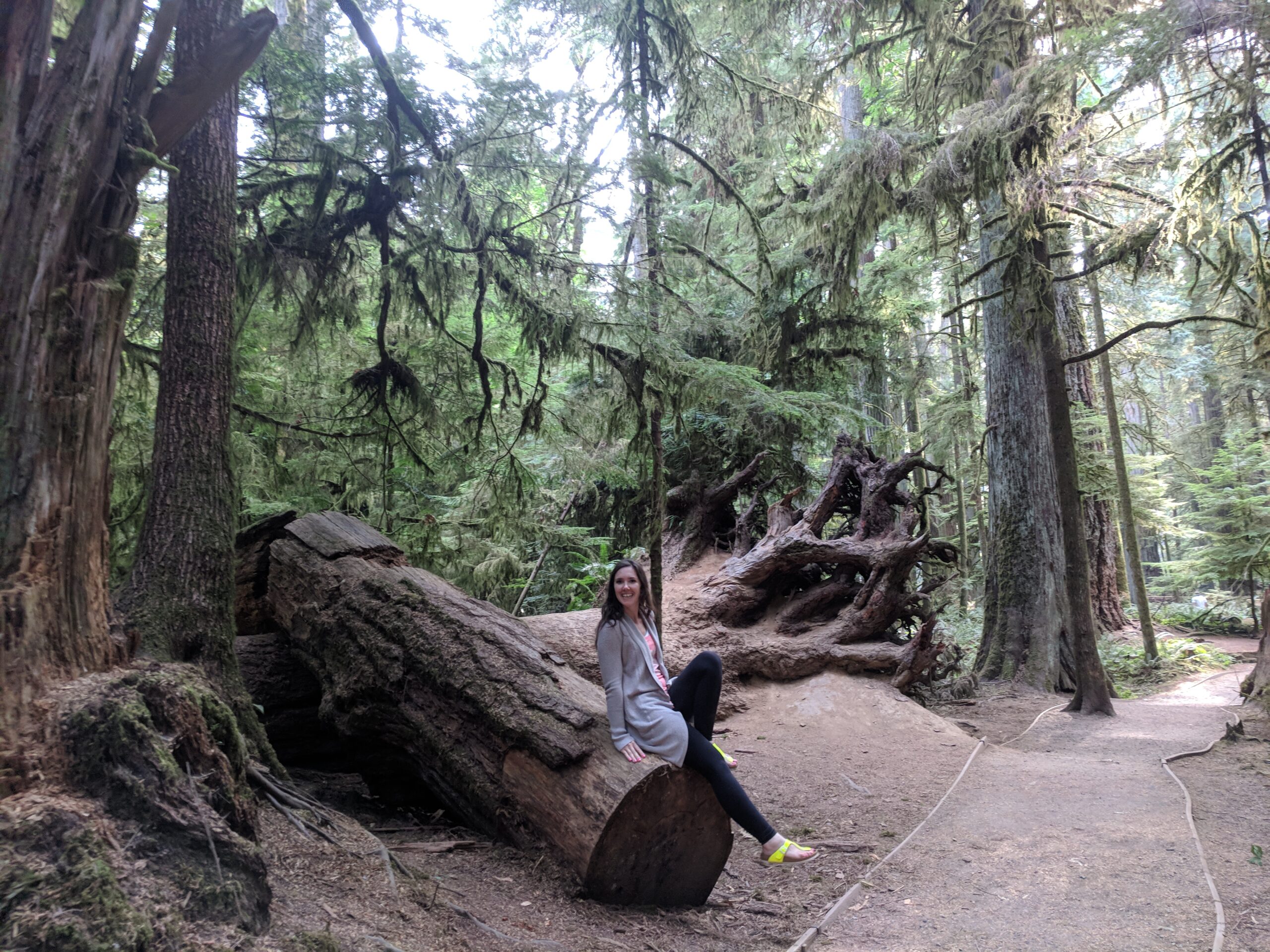 Girl hiking in the forest